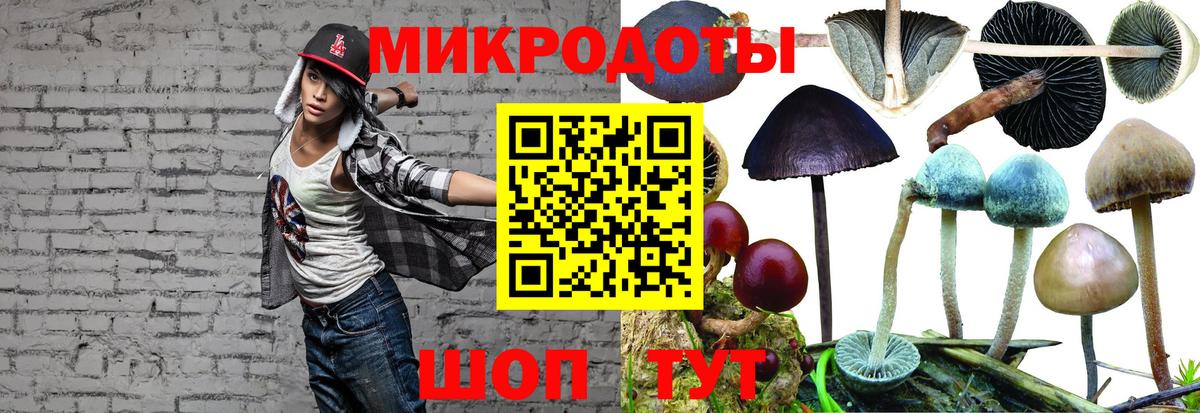 Бузулук  Псилоцибиновые грибы Psilocybe  Псилоцибиновые грибы GOLDEN TEACHER  Вход с VPN 